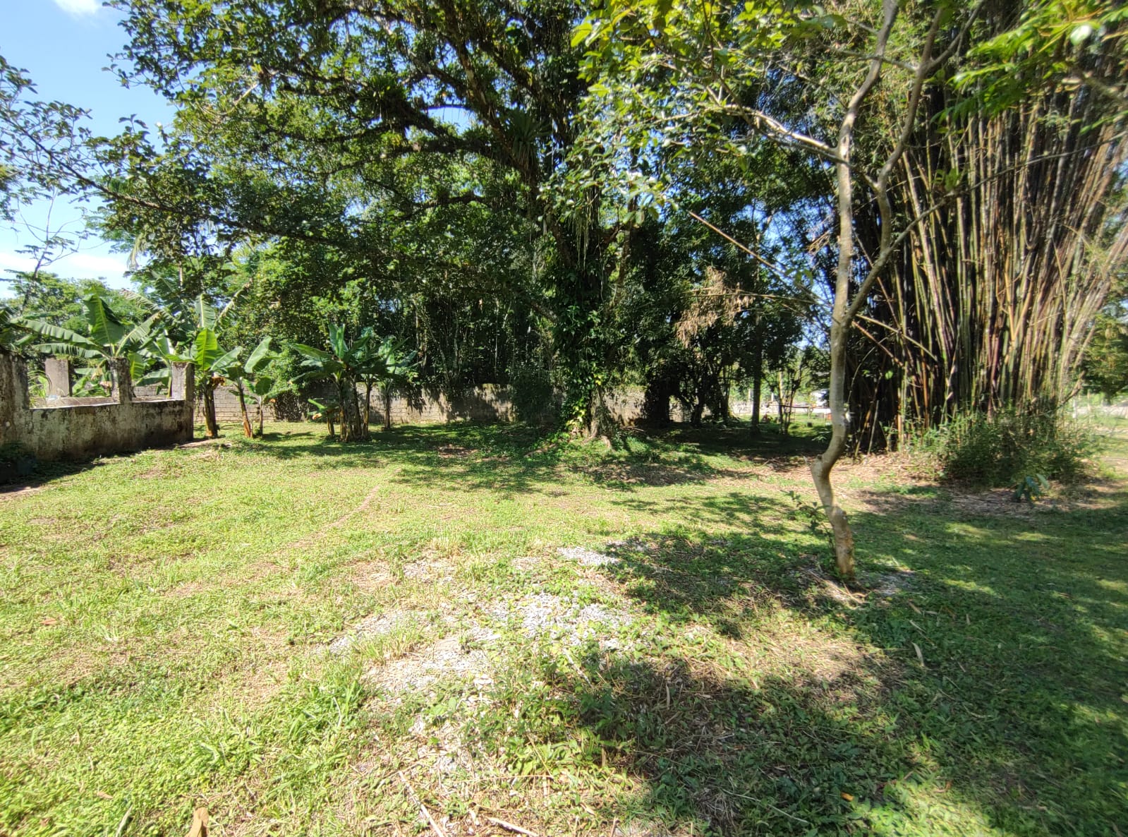 Chácara com 3 dormitórios à venda, 15000 m² por R$ 790.000,00 - Chácaras Iporanga - Peruíbe/SP