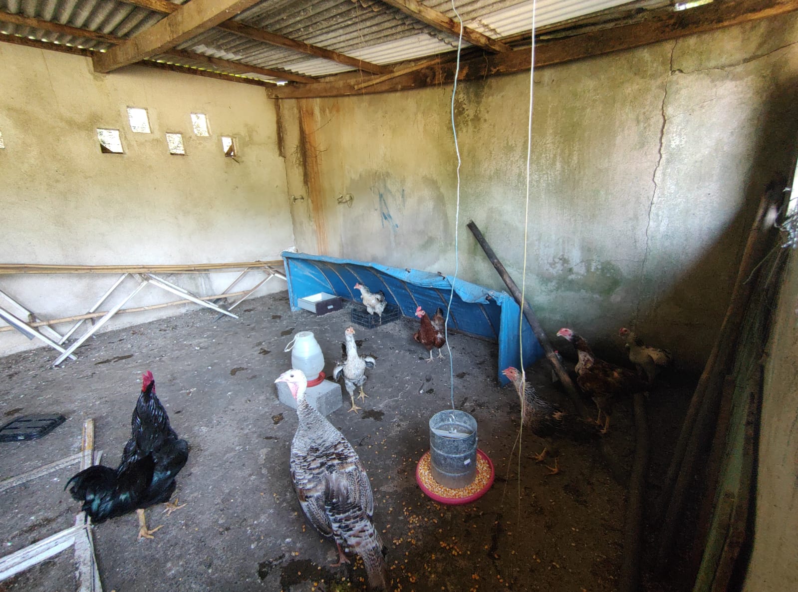 Chácara com 3 dormitórios à venda, 15000 m² por R$ 790.000,00 - Chácaras Iporanga - Peruíbe/SP