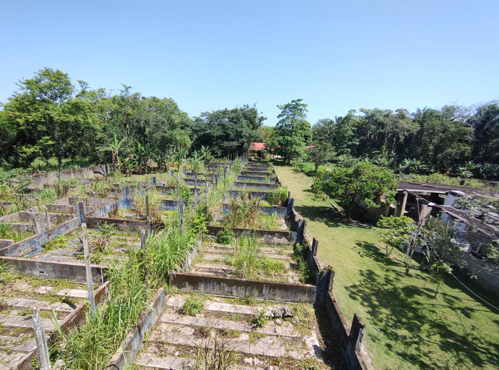 Chácara com 3 dormitórios à venda, 15000 m² por R$ 790.000,00 - Chácaras Iporanga - Peruíbe/SP