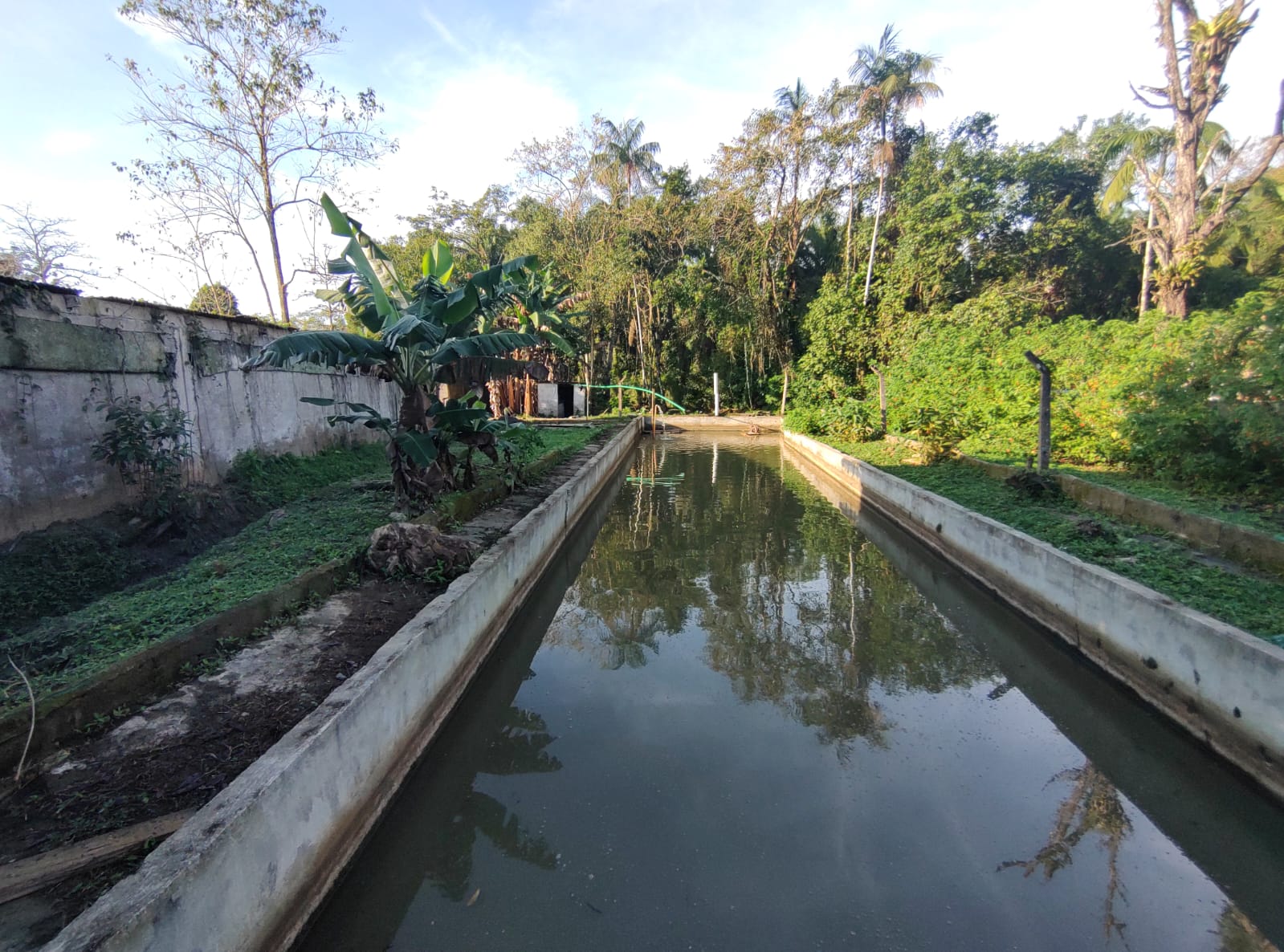 Chácara com 3 dormitórios à venda, 15000 m² por R$ 790.000,00 - Chácaras Iporanga - Peruíbe/SP