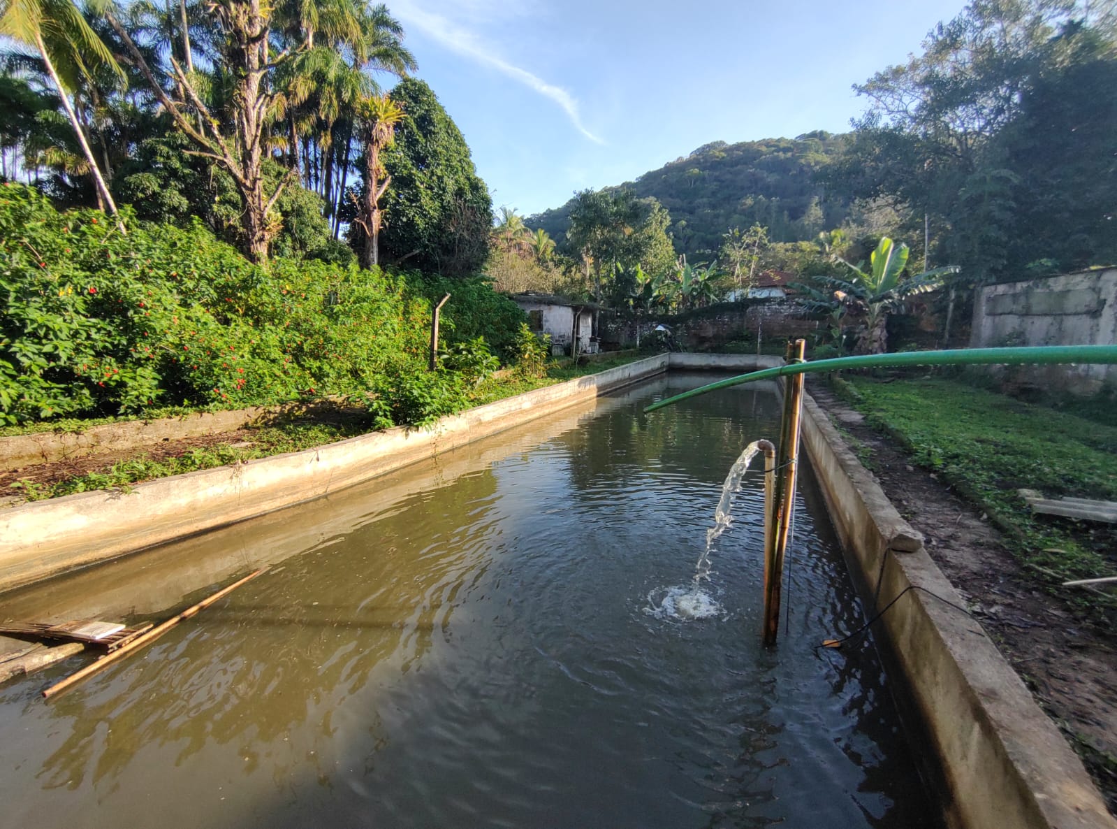 Chácara com 3 dormitórios à venda, 15000 m² por R$ 790.000,00 - Chácaras Iporanga - Peruíbe/SP
