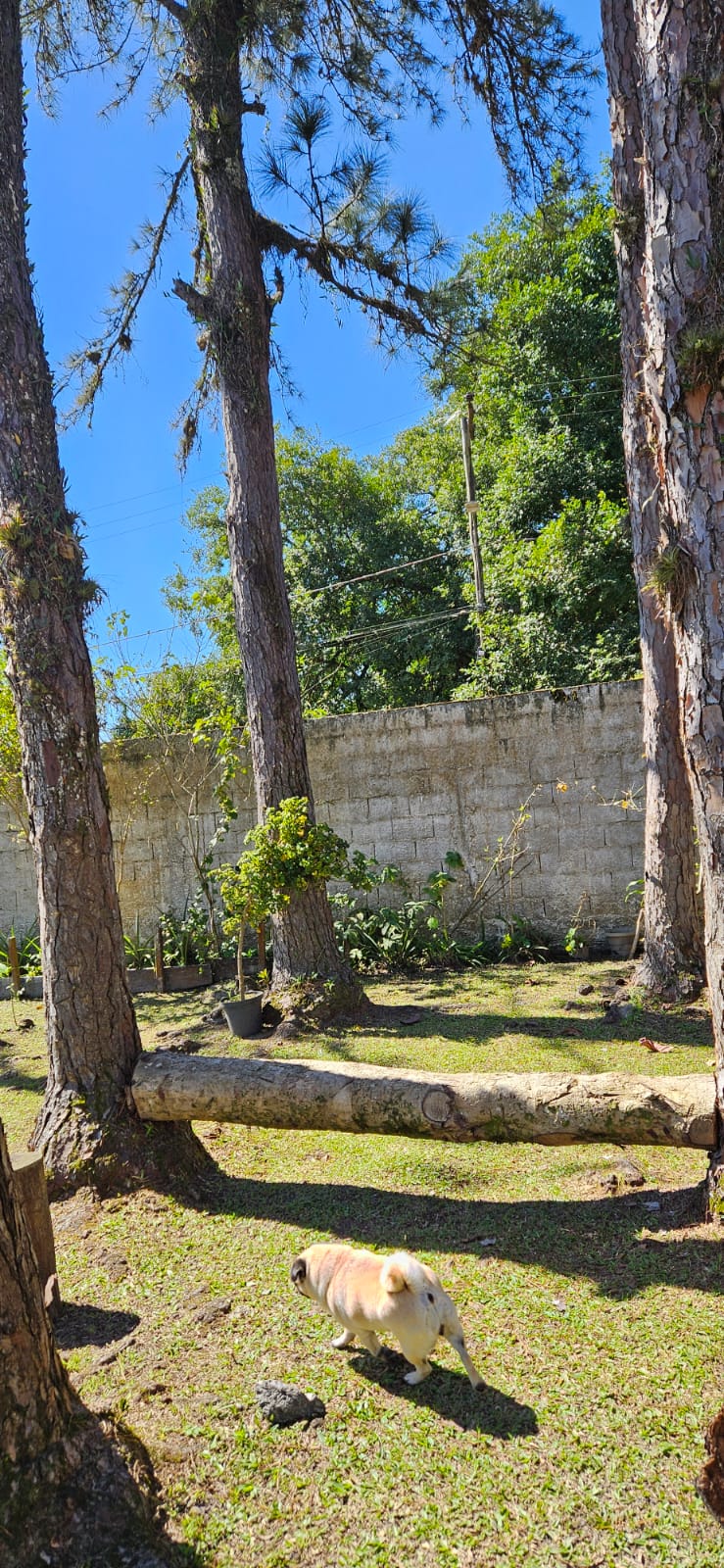 CHÁCARA COM PISCINA EM PERUÍBE PRA TEMPORADA 