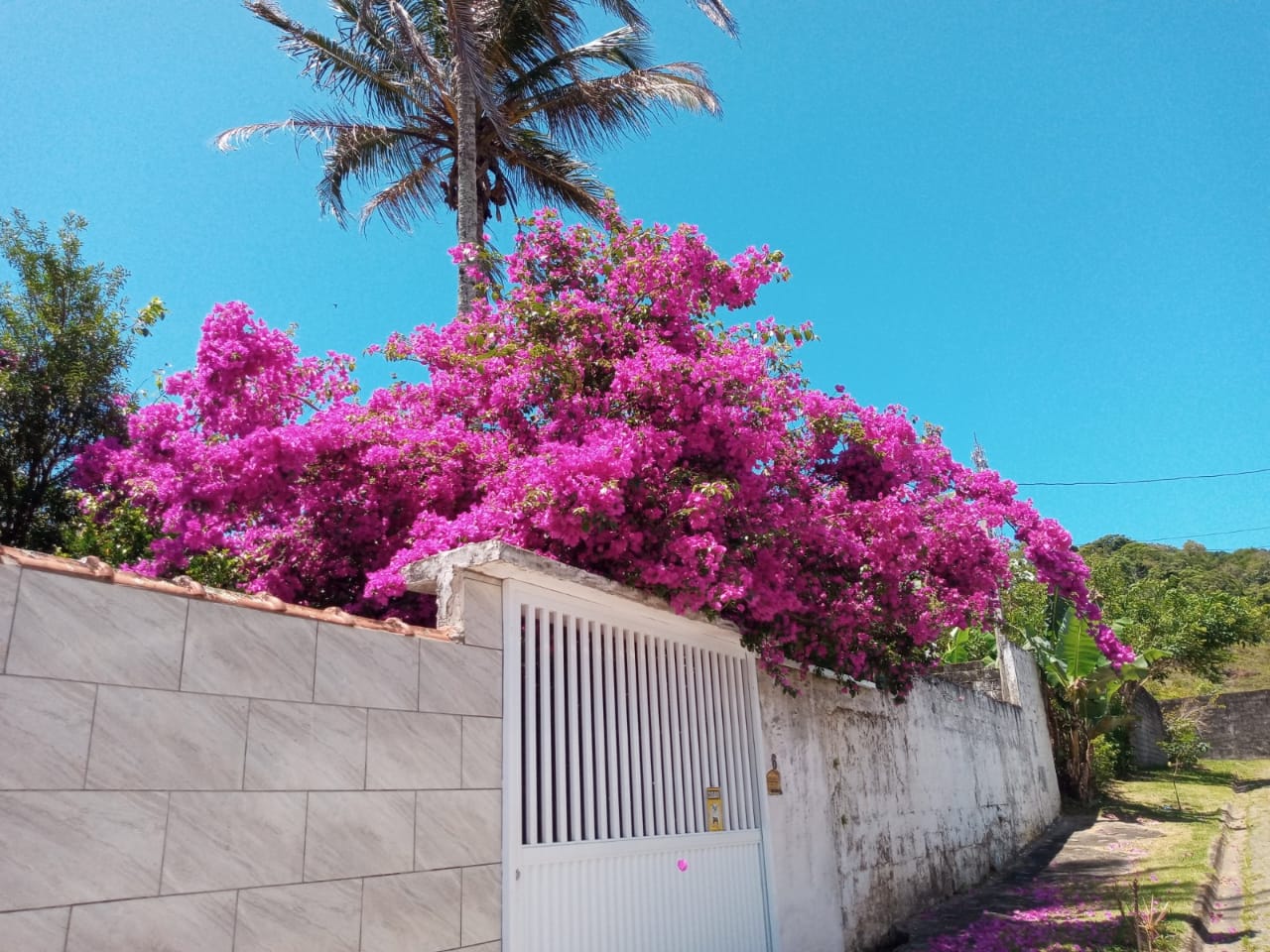 ALUGA-SE CASA COM TERRENO EM PERUÍBE - BAIRRO DOS PRADOS 