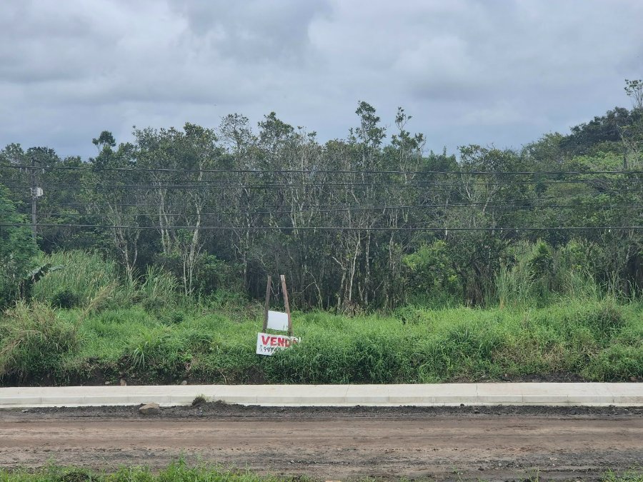TERRENO COMERCIAL