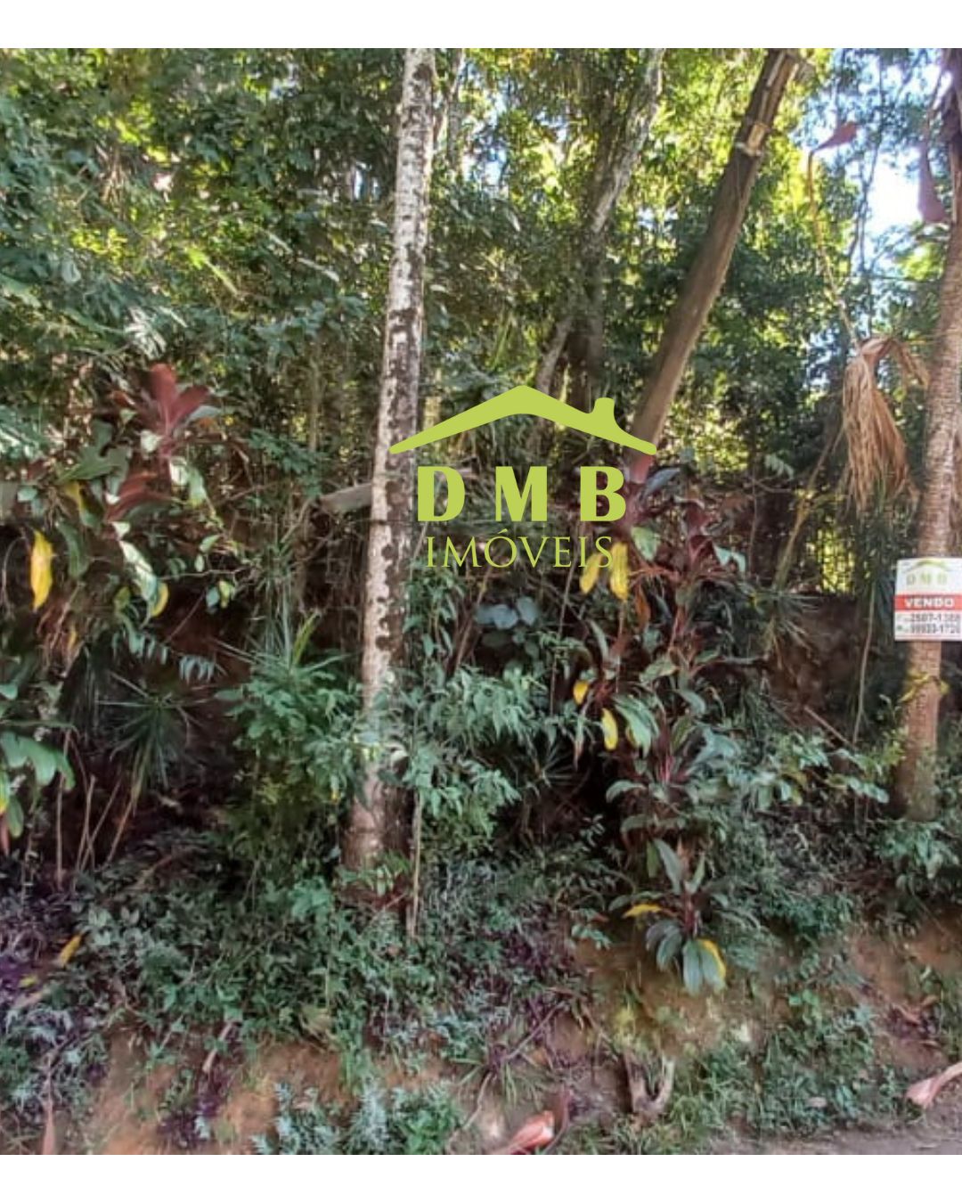 Terreno - Venda, Várzea das Moças, Niterói, RJ