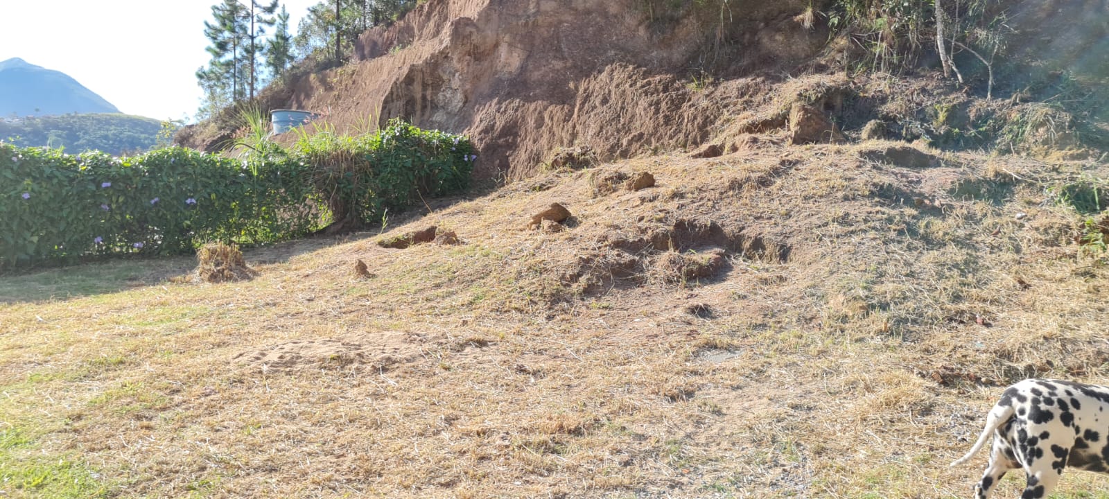 Terreno em Itaipava.