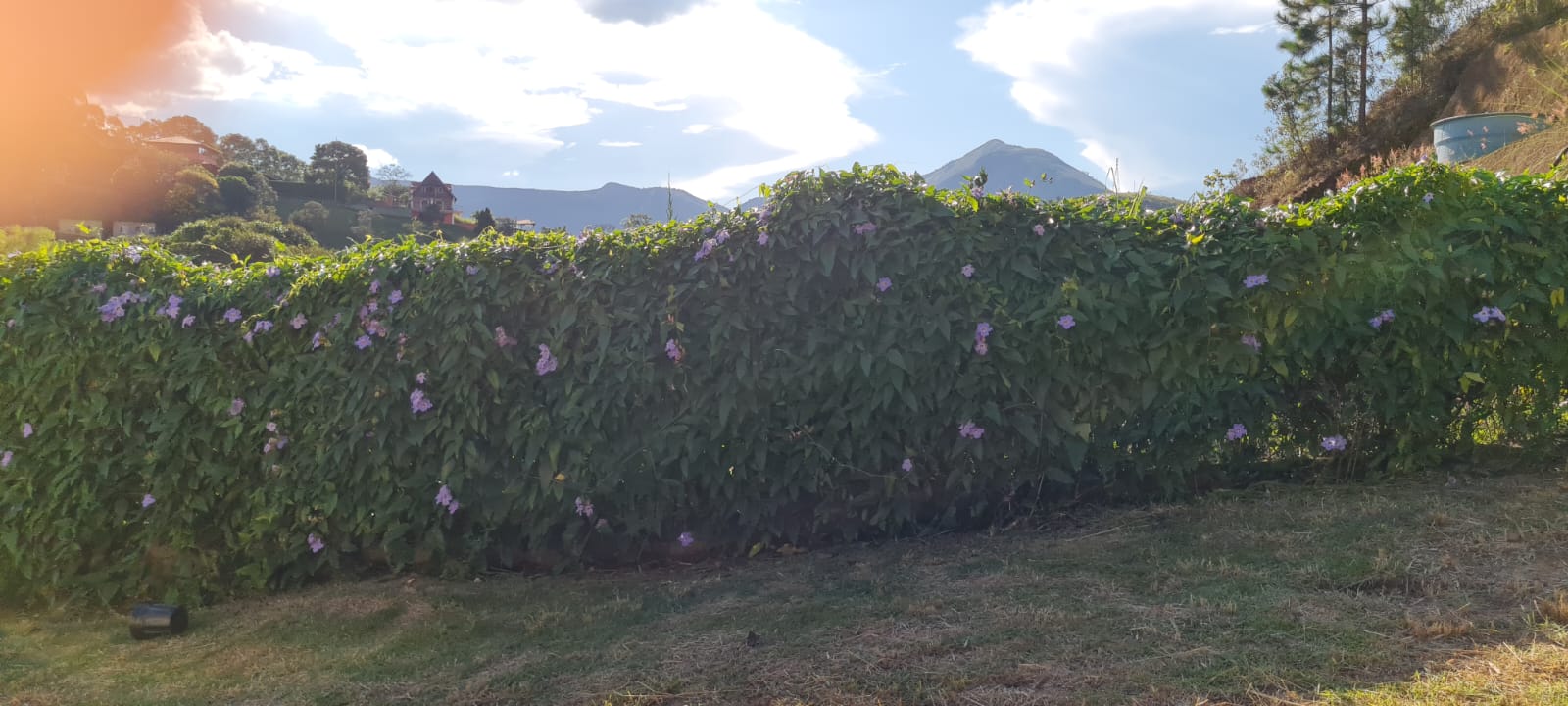 Terreno em Itaipava.