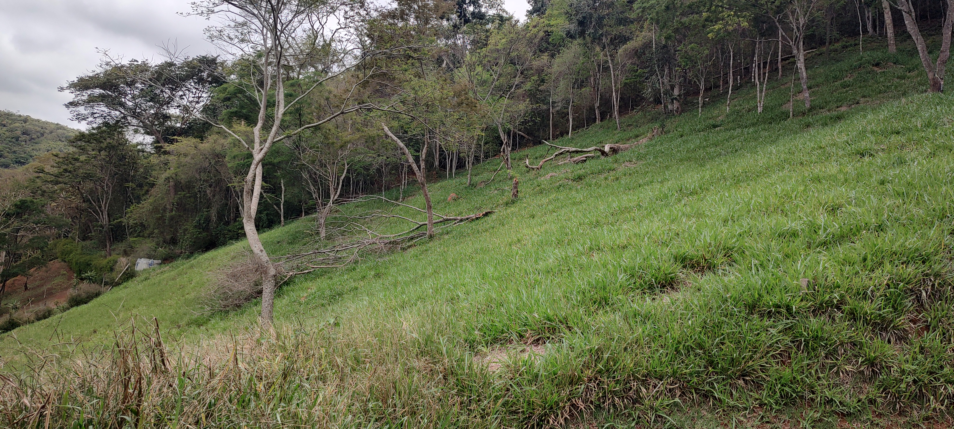 Terreno em condomínio - Venda, ITAIPAVA, Petrópolis, RJ