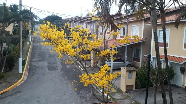 Casa - Venda, Granja Viana, Cotia, SP
