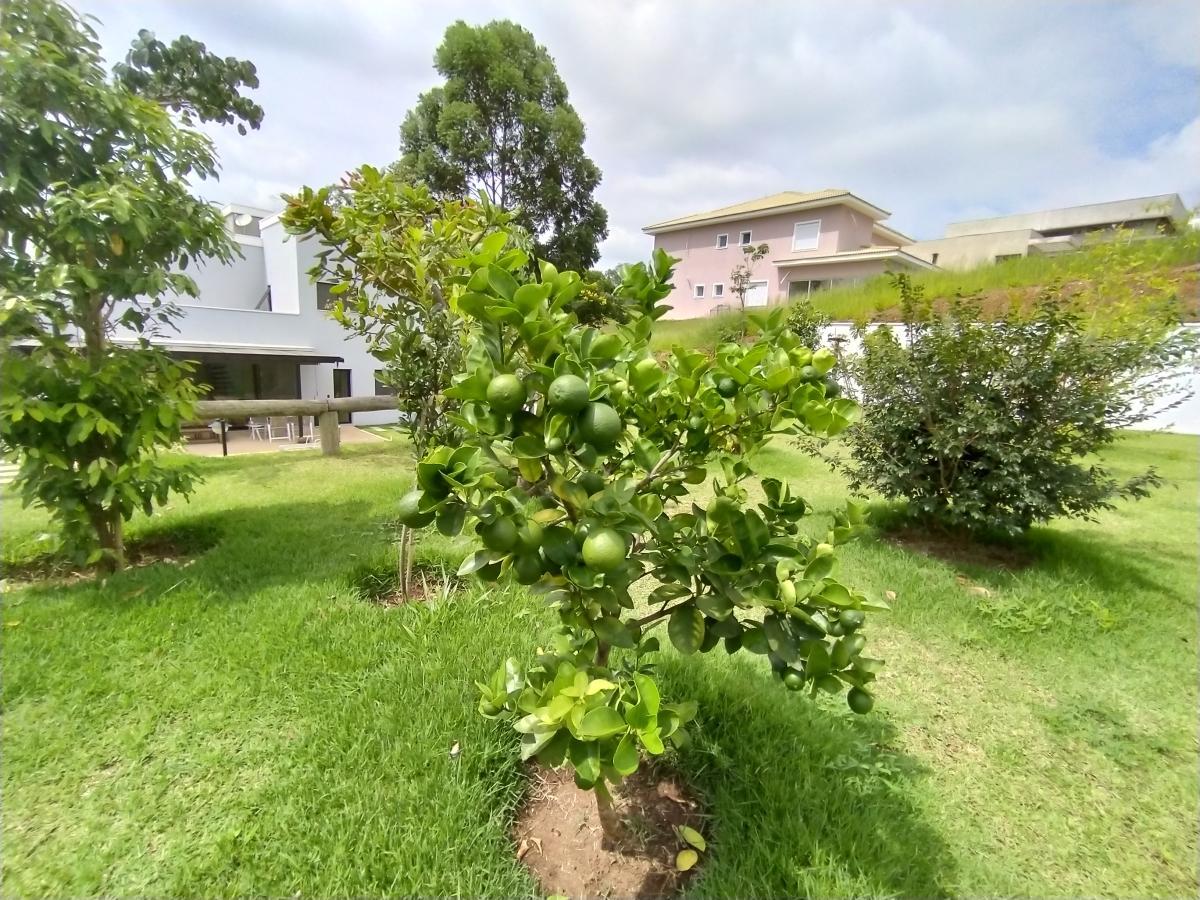 Campos de Santo Antônio