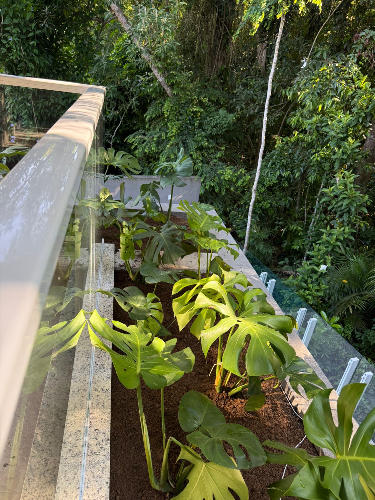 Casa em Condomínio com 6 Suítes na Riviera, Bertioga - SP 