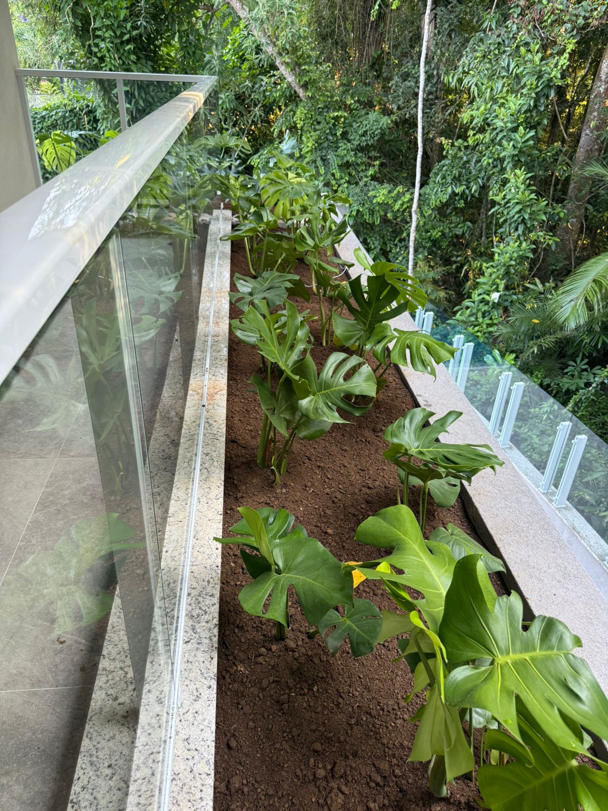 Casa em Condomínio com 6 Suítes na Riviera, Bertioga - SP 