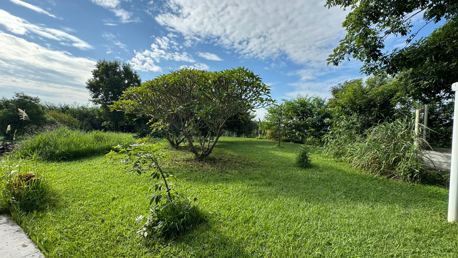 "Chácara dos Sonhos em Porto Feliz: Conforto, Luxo e Natureza Esperam por Você!"