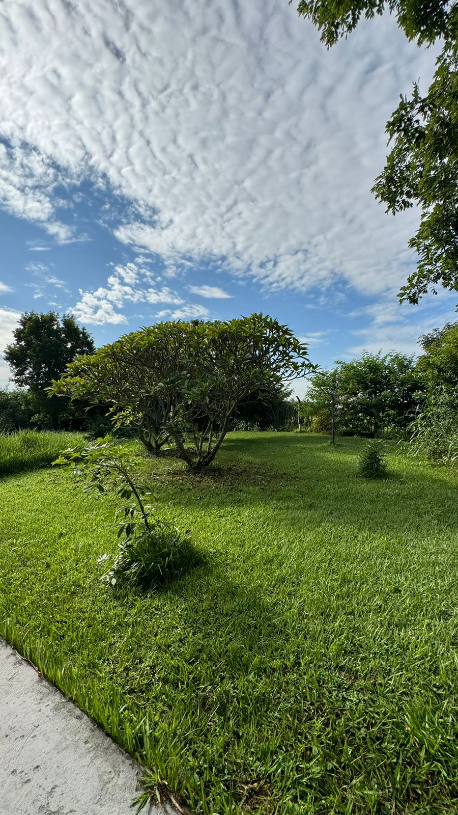 "Chácara dos Sonhos em Porto Feliz: Conforto, Luxo e Natureza Esperam por Você!"