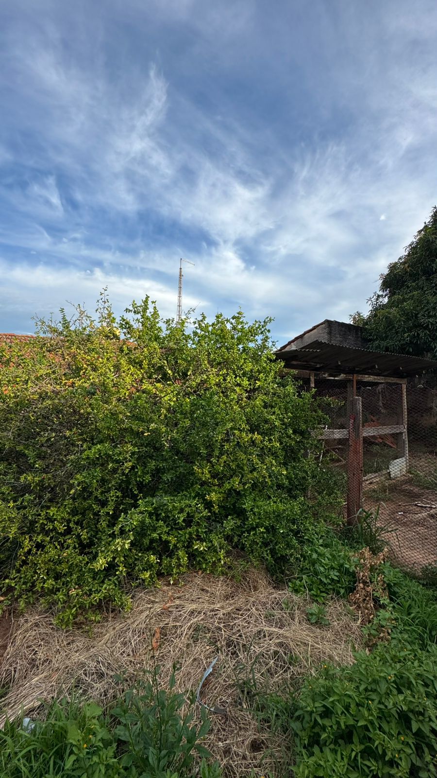 Terreno Bairro Nossa Senhora Aparecida, Itu