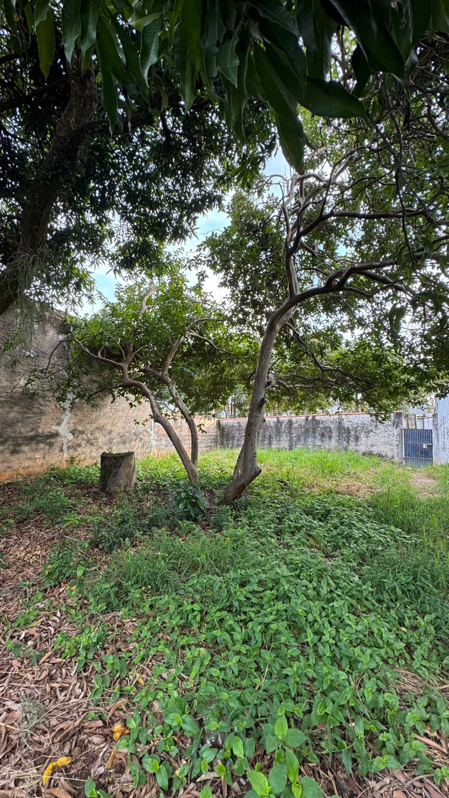 Terreno Bairro Nossa Senhora Aparecida, Itu