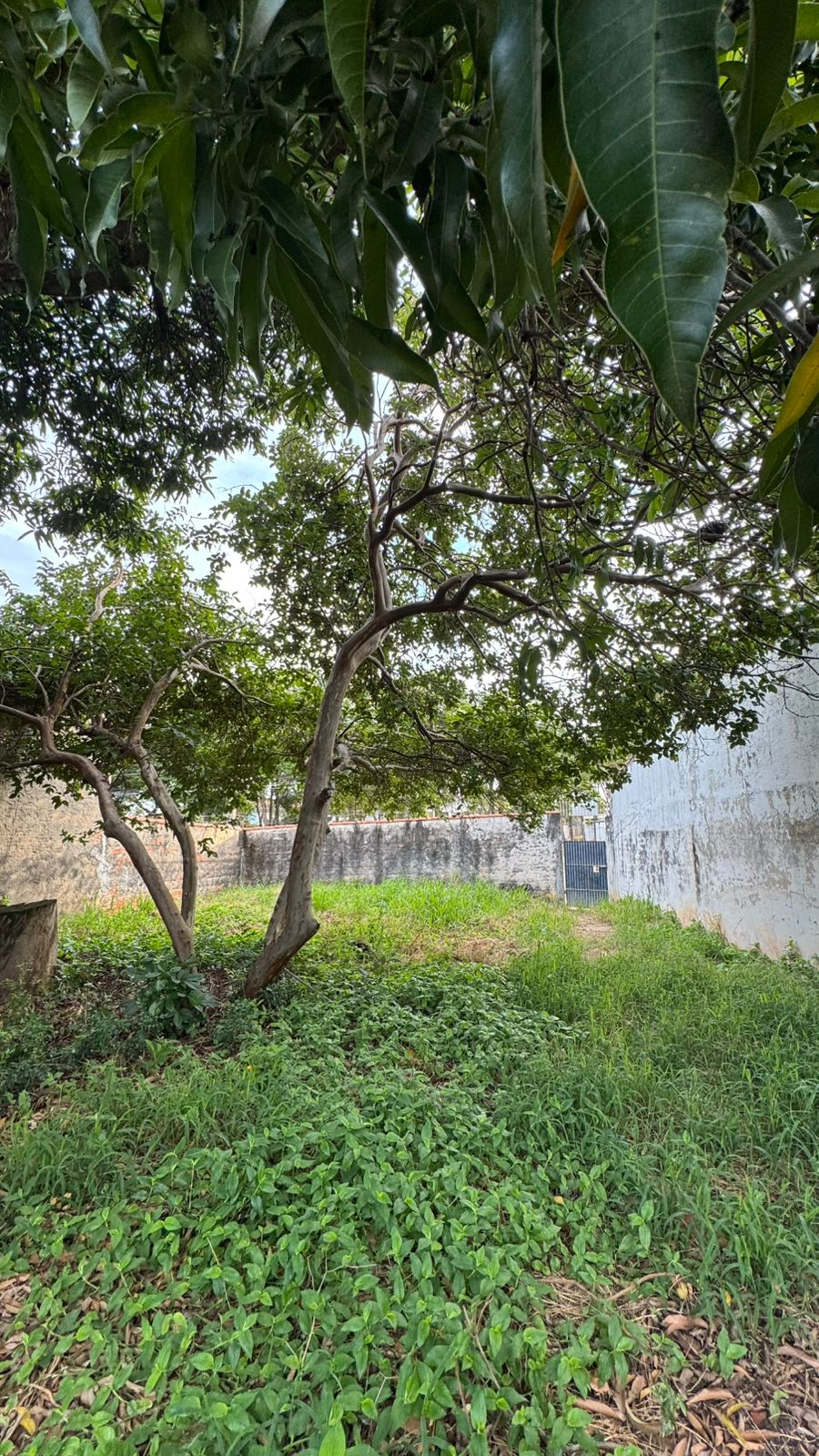 Terreno comercial - Venda, Vila Fragnani, Itu, SP
