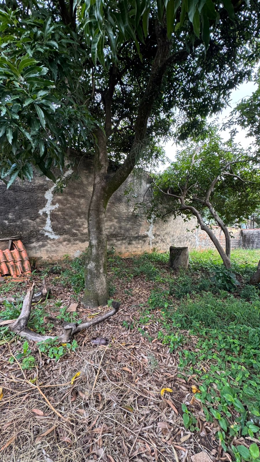 Terreno Bairro Nossa Senhora Aparecida, Itu