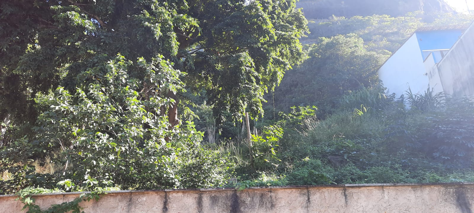 Terreno à Venda – 600 m² – Bairro Fazendinha, Piratininga – Região Oceânica de Niterói/RJ