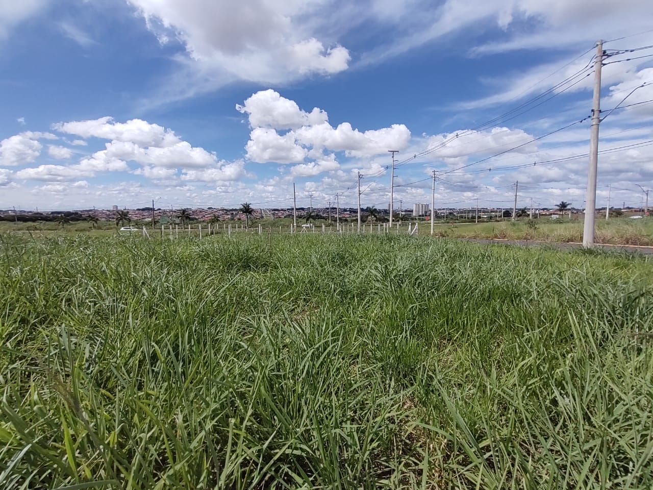 Terreno - Venda, Vila Oliveira, Santa Bárbara D Oeste, SP