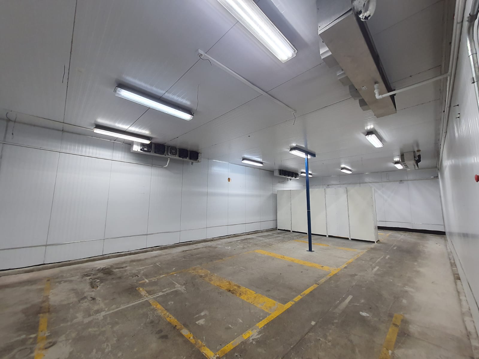 LOCAÇÃO GALPÃO PRONTO PARA INDÚSTRIA ALIMENTÍCIA OU QUÍMICA – PARQUE RINCÃO, COTIA KM29