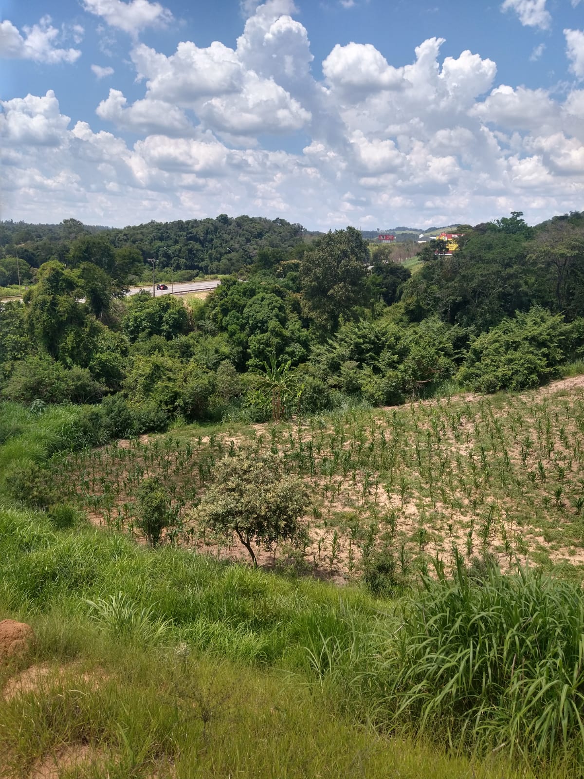 Área Industrial à Venda em Itu SP 