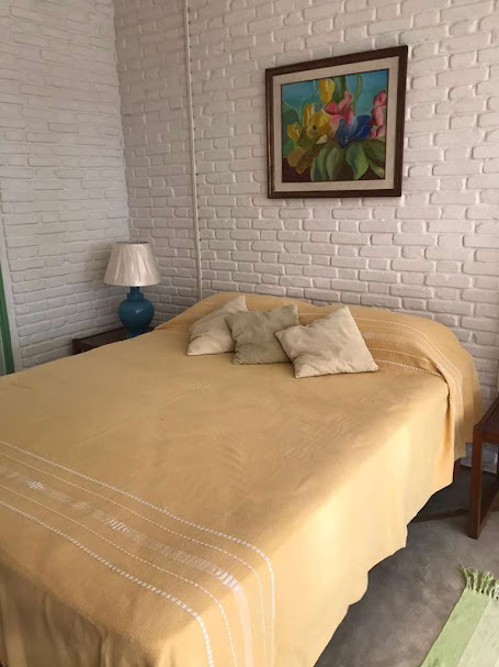 OPORTUNIDADE! Arquitetura autoral com forte pegada ecológica! ÚNICA e ESPECIAL!
