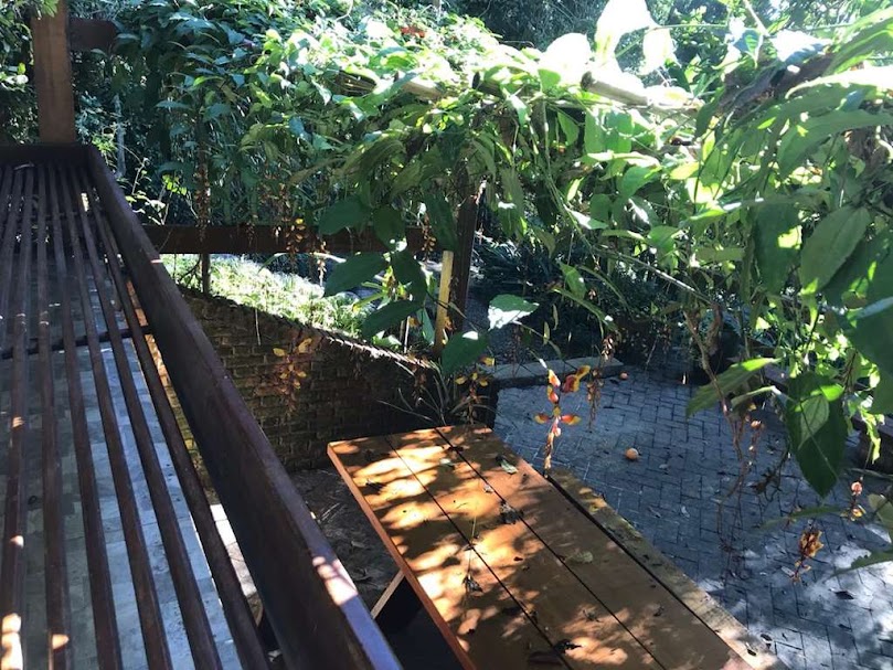 OPORTUNIDADE! Arquitetura autoral com forte pegada ecológica! ÚNICA e ESPECIAL!