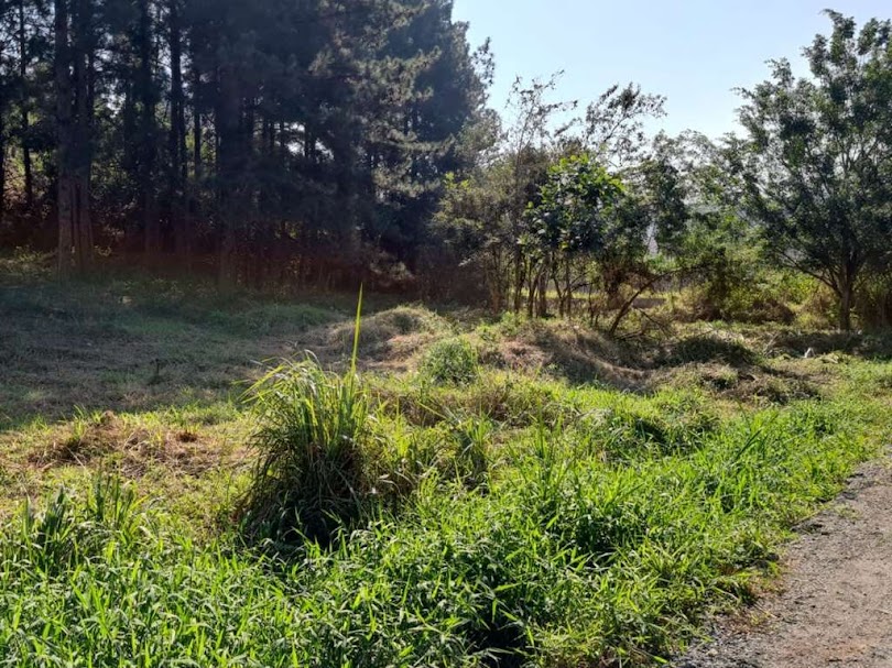 Terreno - Venda, Chácara Santa Lúcia, Carapicuíba, SP