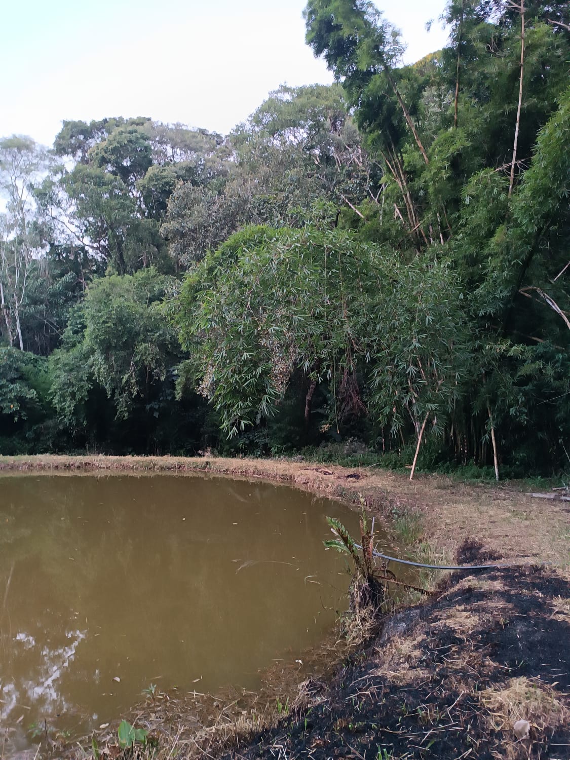 Terreno - Venda, Centro (São João Novo), São Roque, SP