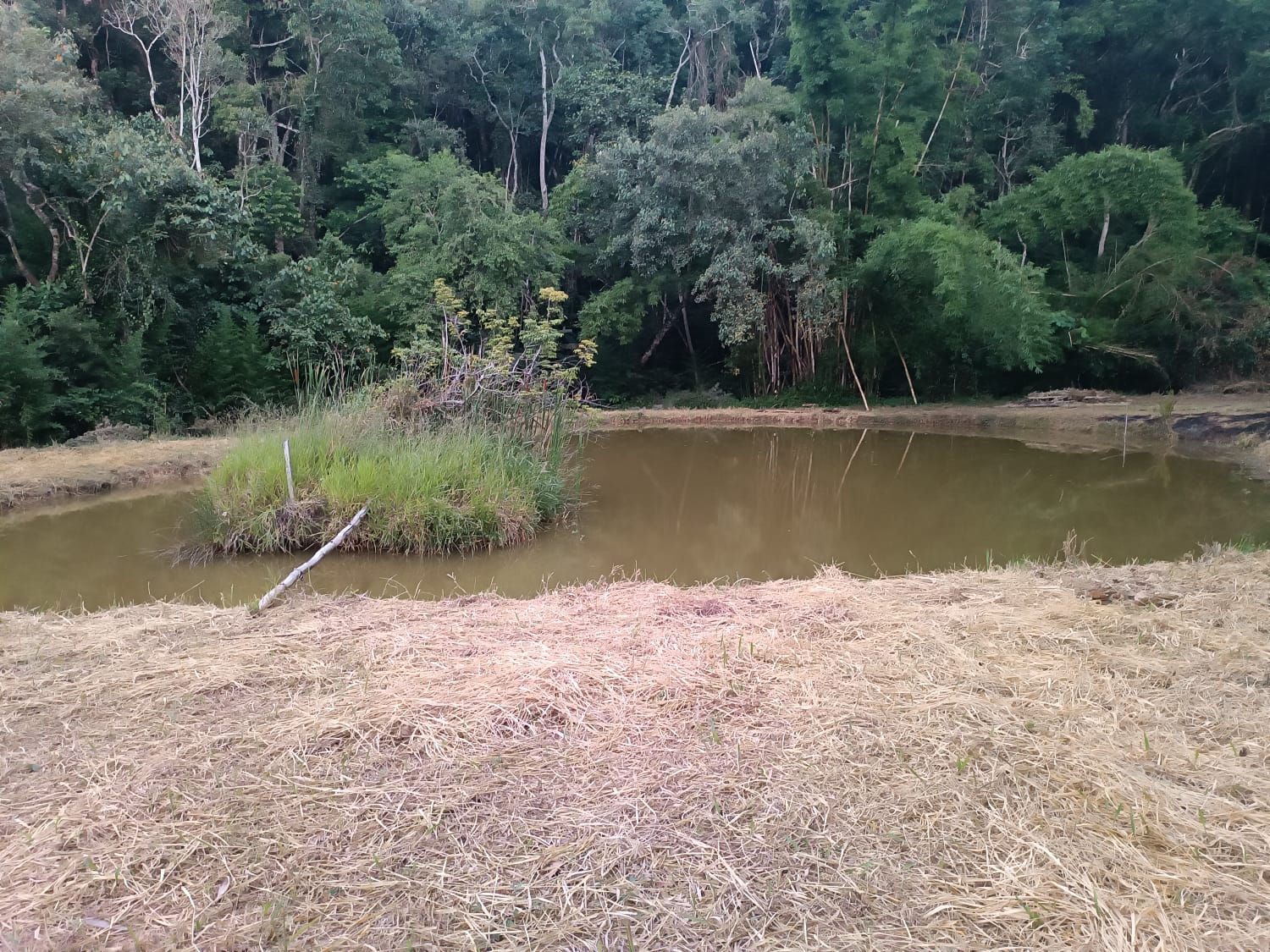 Sítio - Venda, Centro (São João Novo), São Roque, SP