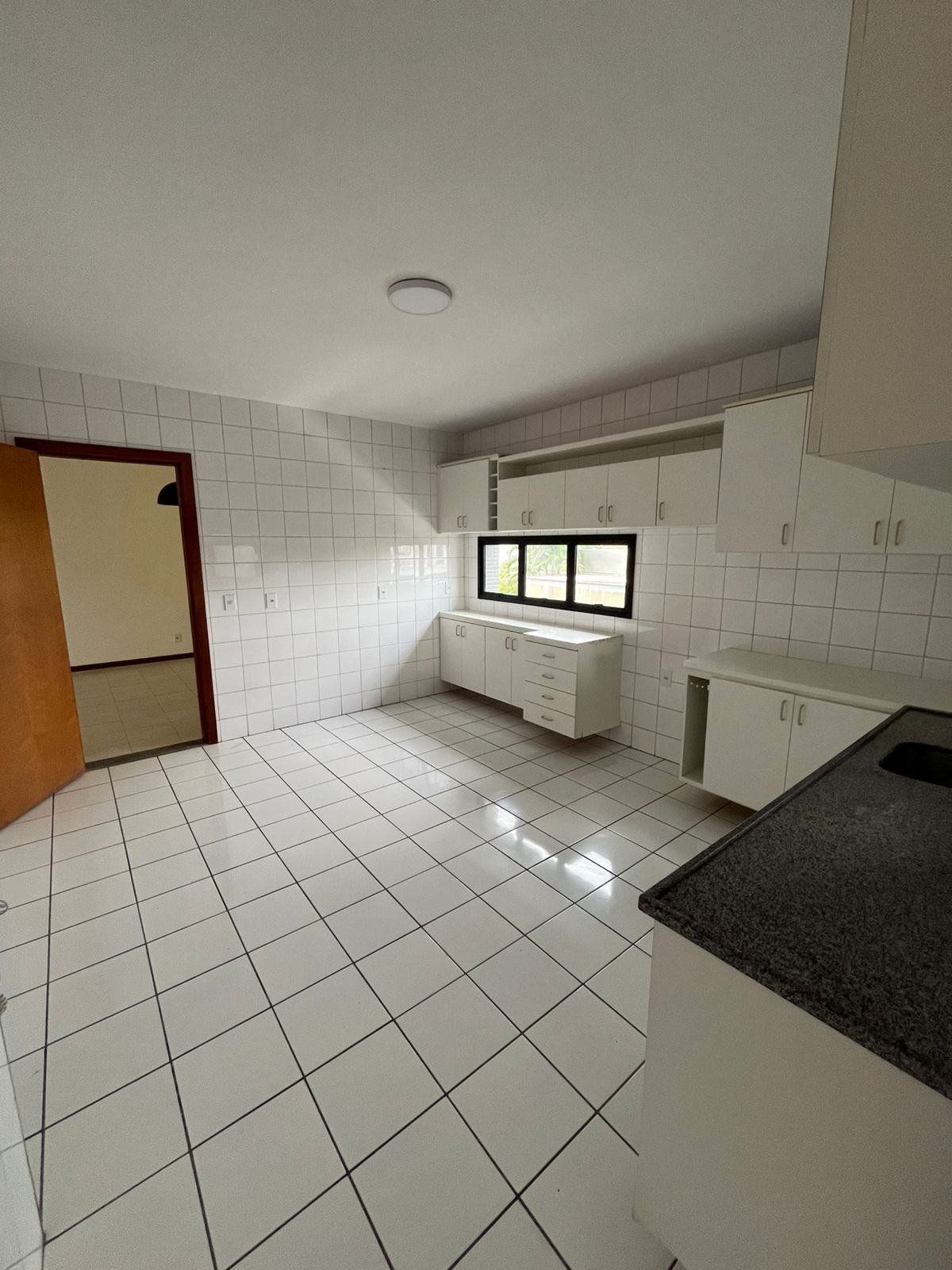 Alugo Apartamento 4 suítes - Vieiralves