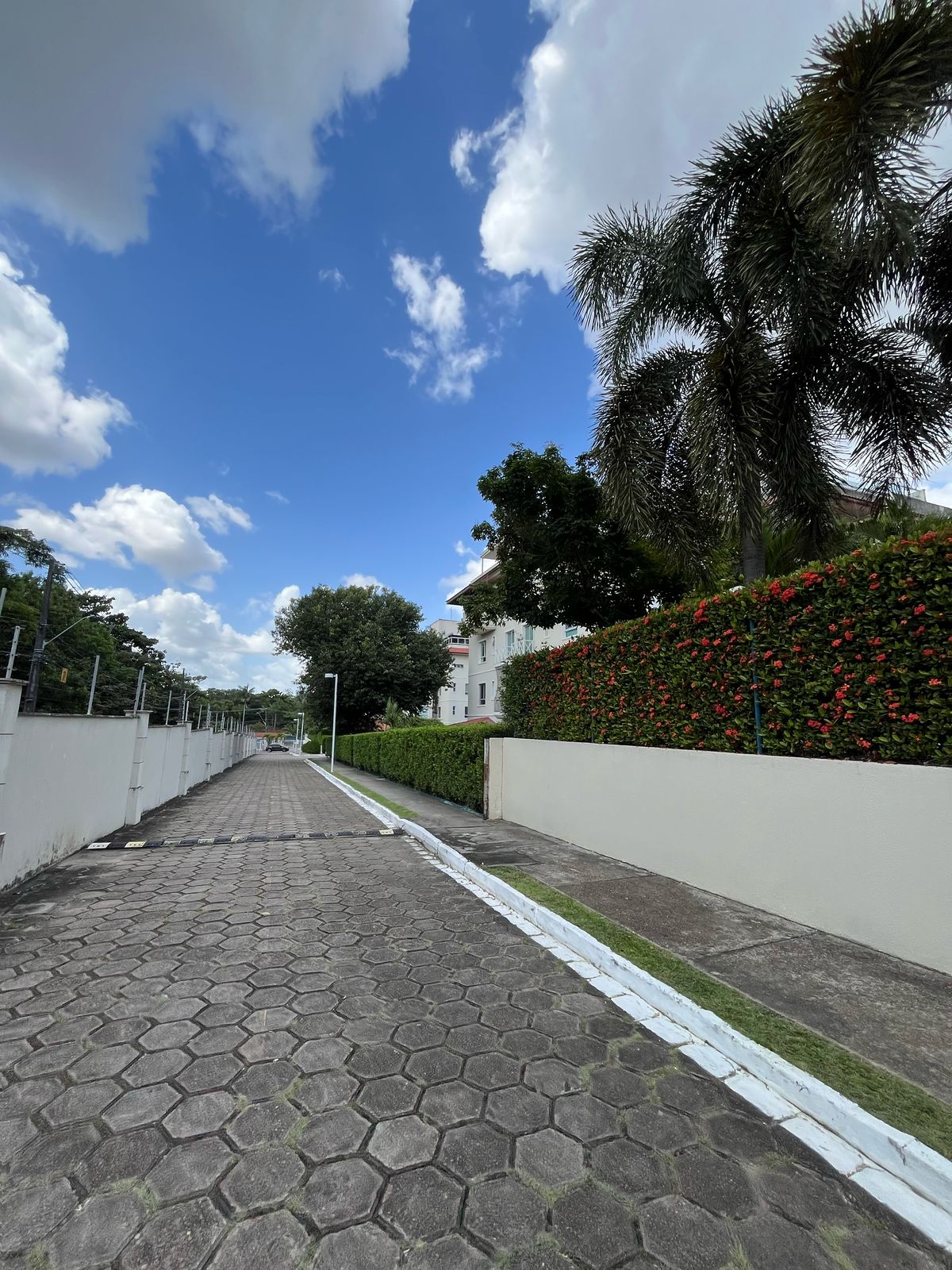 Vendo Apartamento Triplex - Parque das Laranjeiras