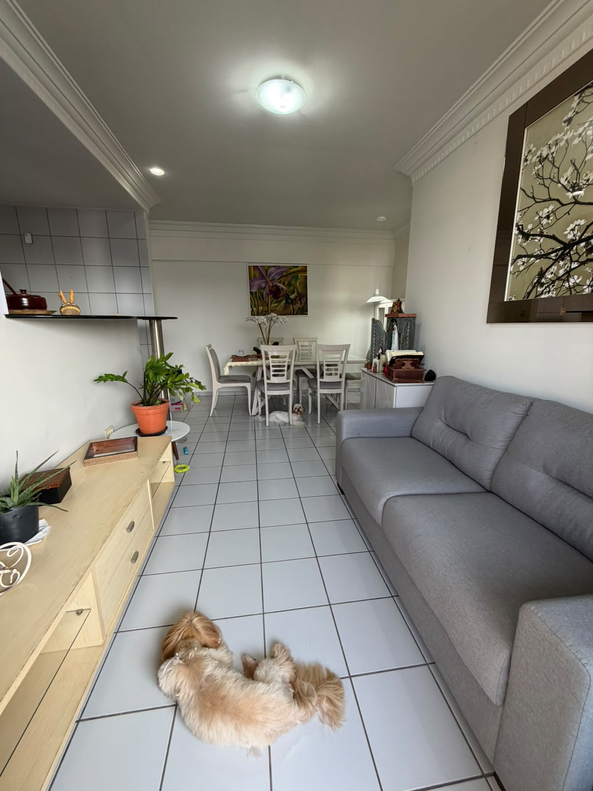 Apartamento