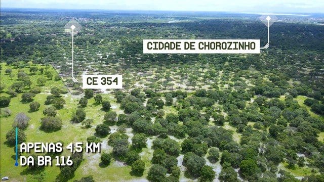 Sítio, 200 hectares - Foto 3