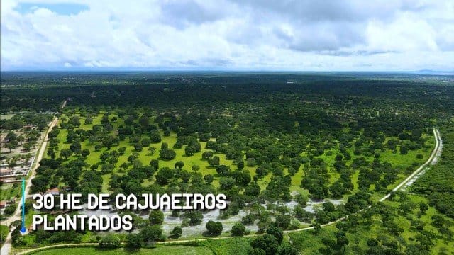 Sítio, 200 hectares - Foto 1
