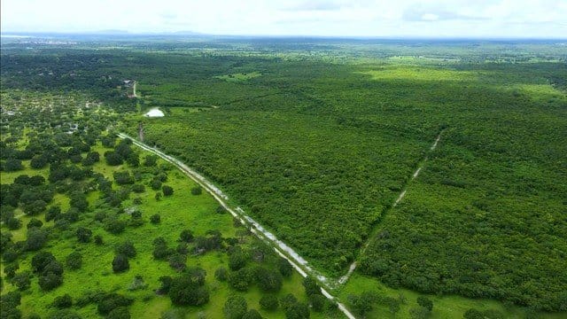 Sítio, 200 hectares - Foto 2