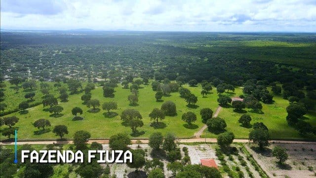 Sítio, 200 hectares - Foto 4