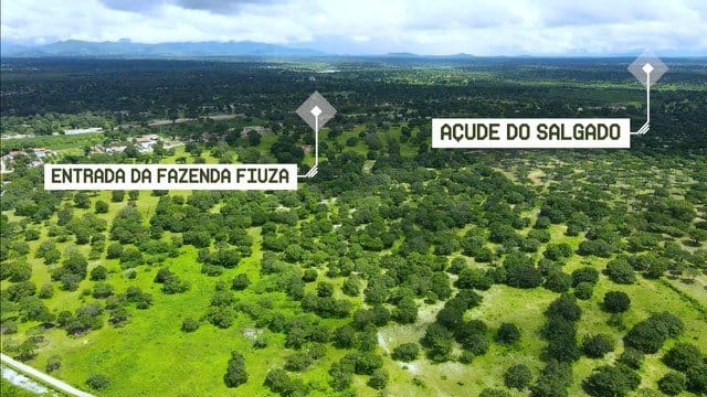 Sítio, 200 hectares - Foto 6