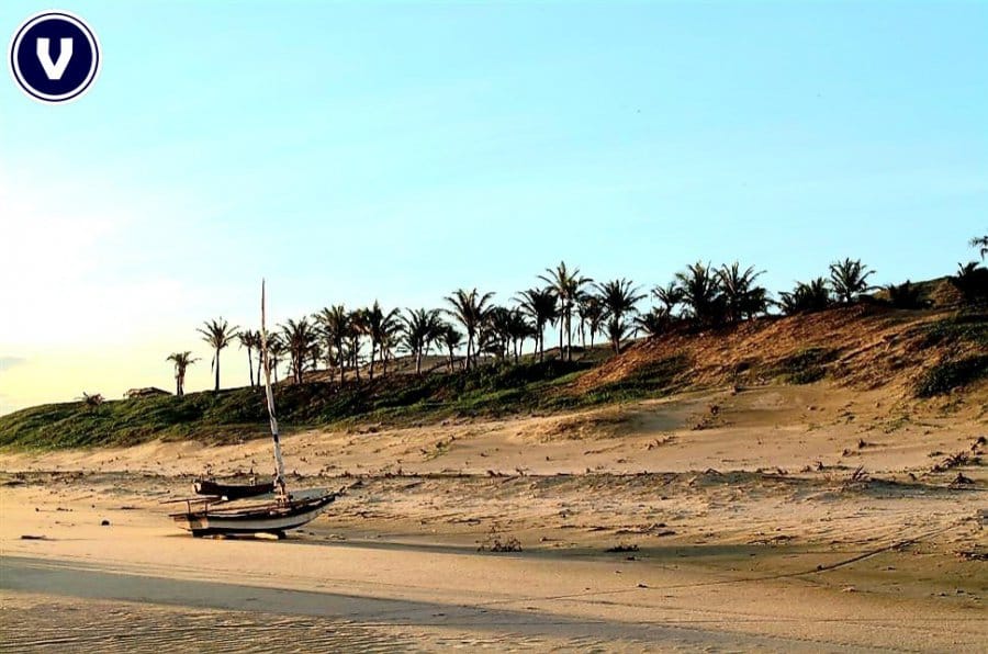 Terreno, 42 hectares - Foto 14