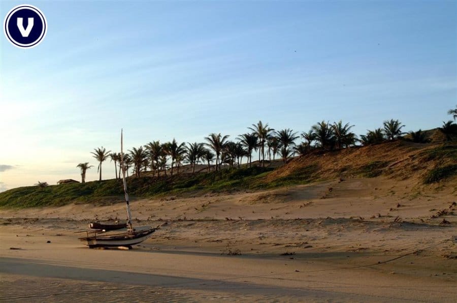 Terreno, 42 hectares - Foto 7