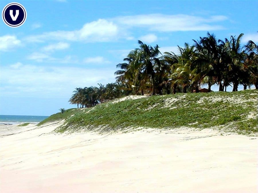 Terreno, 42 hectares - Foto 6