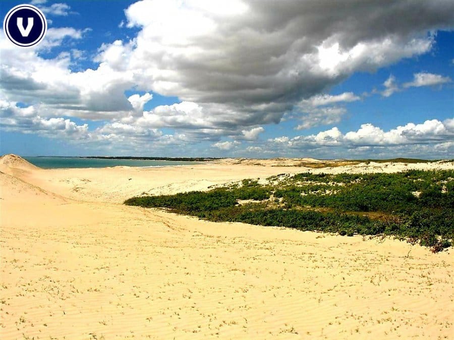 Terreno, 136 hectares - Foto 27