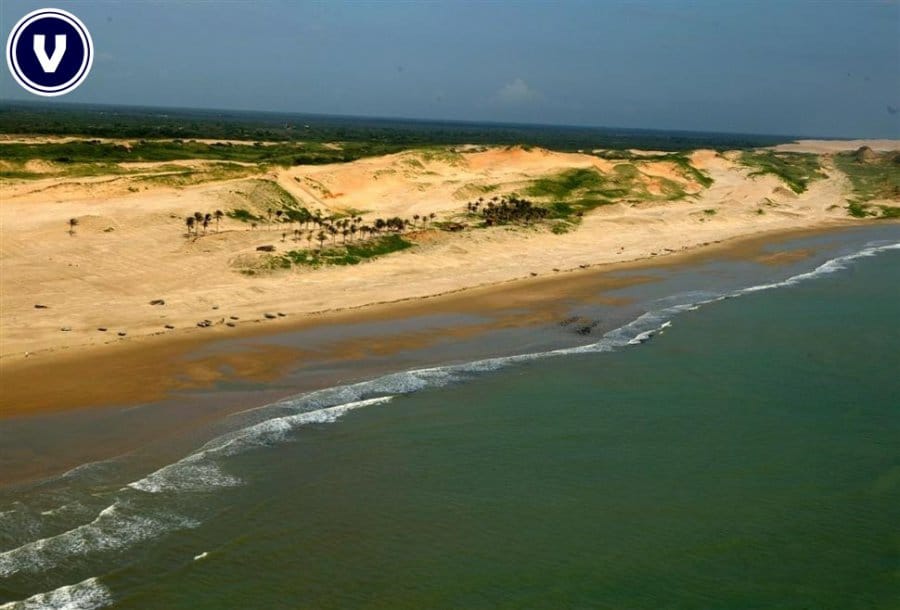 Terreno, 136 hectares - Foto 7