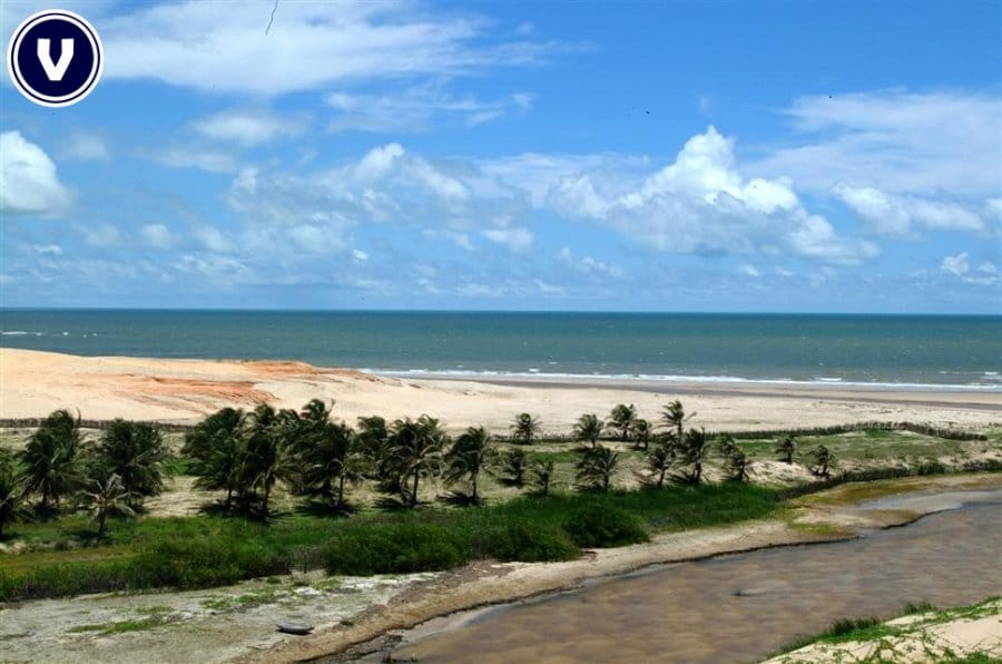 Terreno, 136 hectares - Foto 22