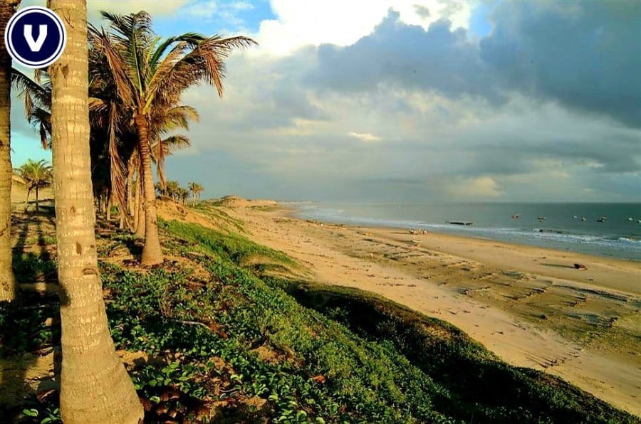 Terreno, 136 hectares - Foto 9