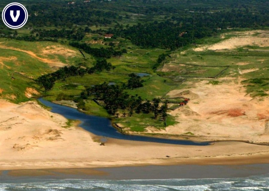 Terreno, 136 hectares - Foto 15