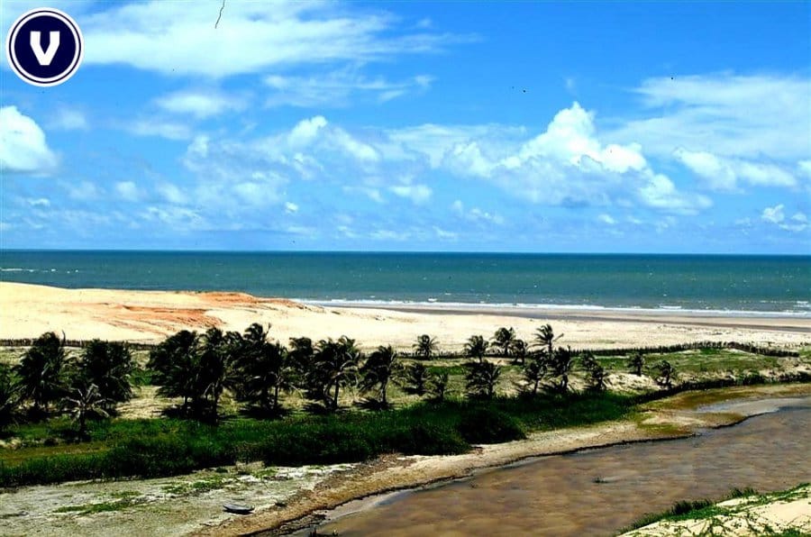 Terreno, 136 hectares - Foto 11