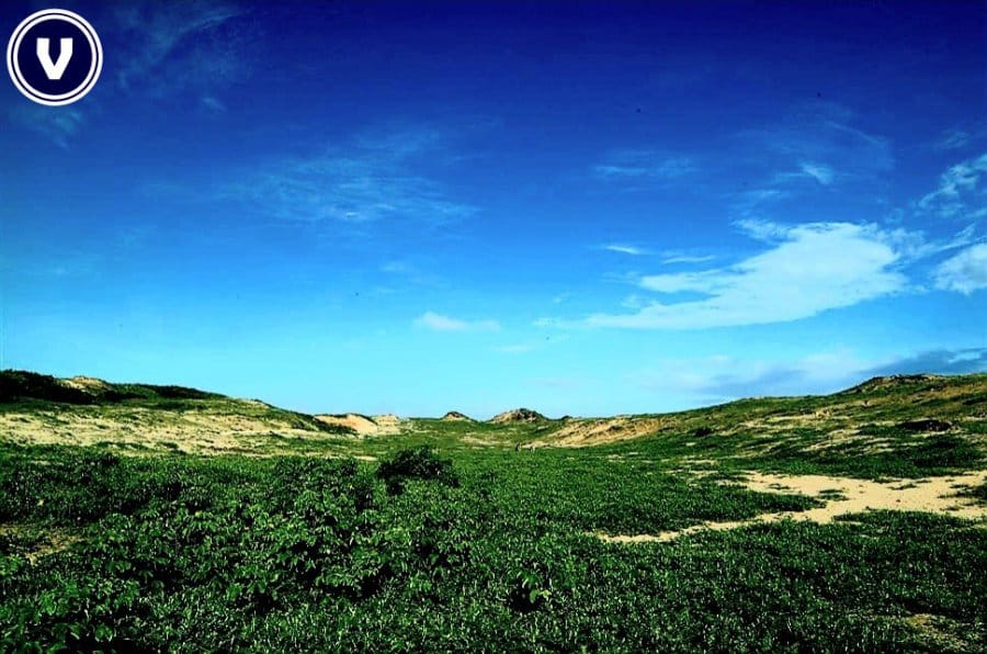 Terreno, 136 hectares - Foto 35