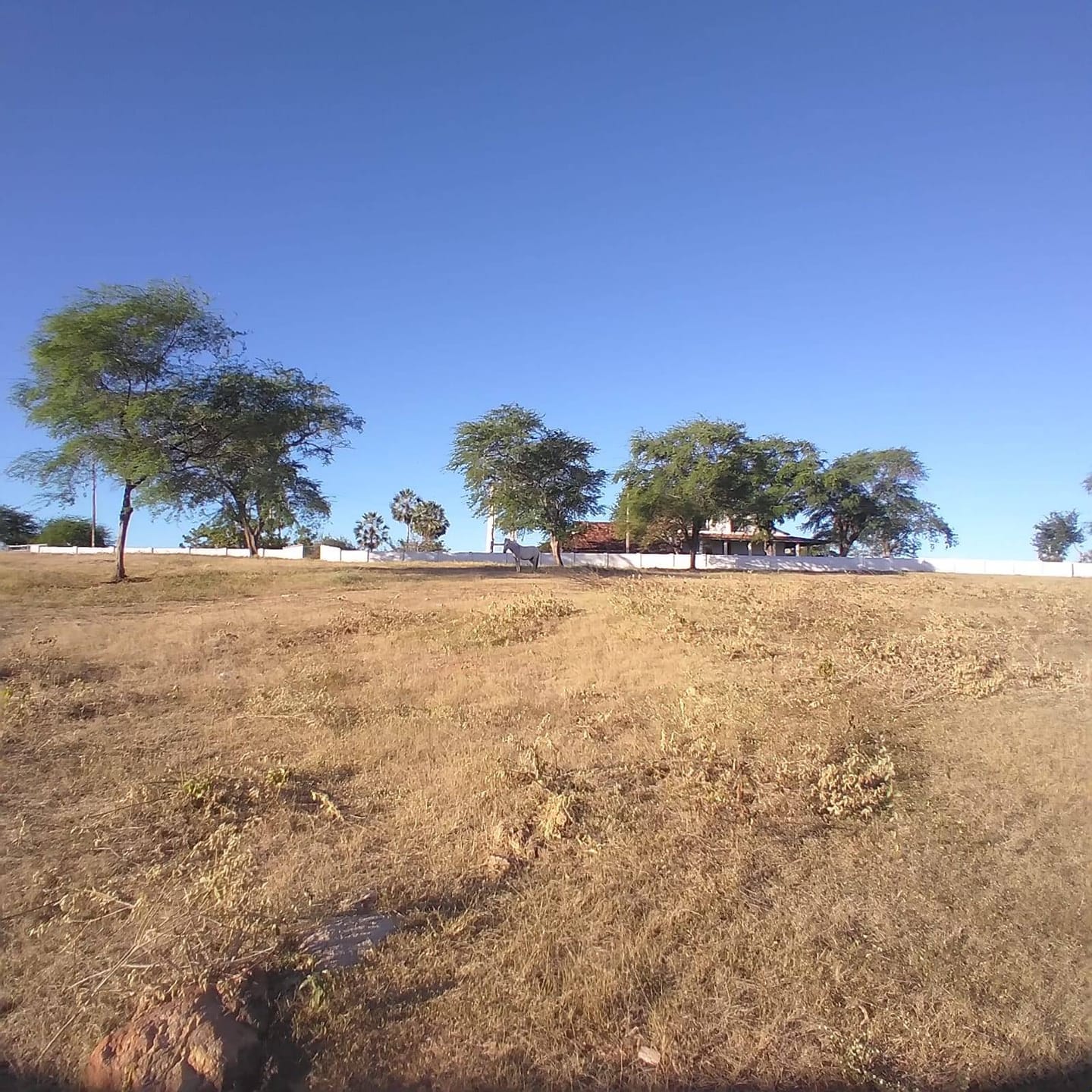 Sítio, 30 quartos, 320 hectares - Foto 62